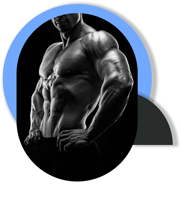 Muscle building program